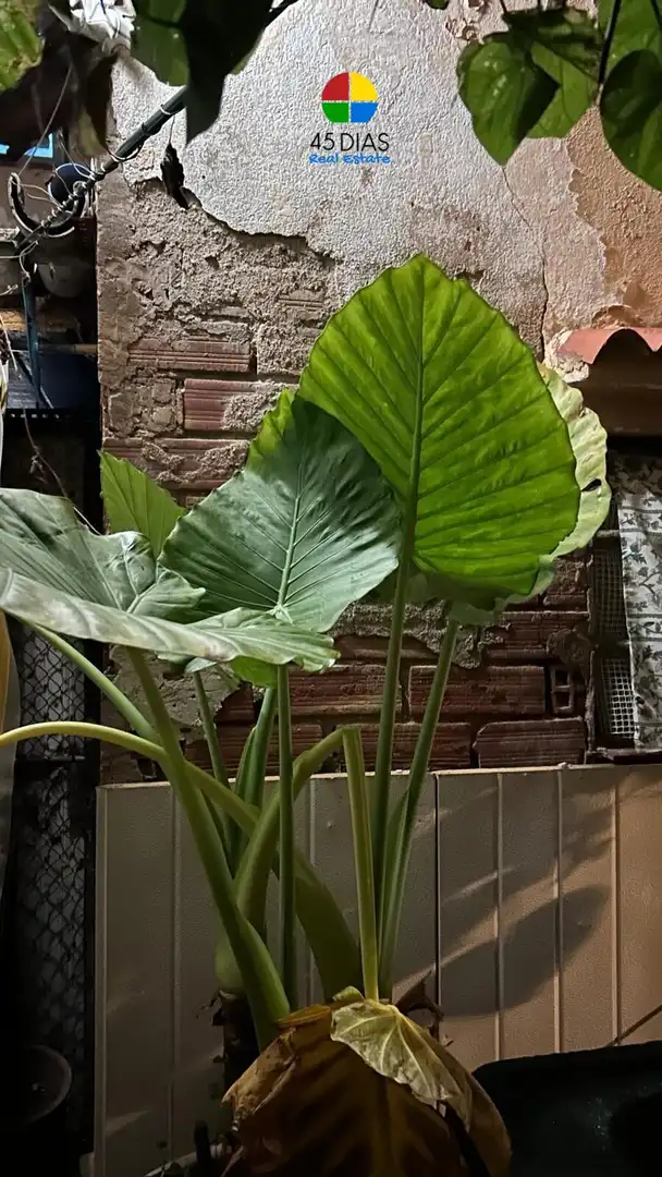 Jardí de Casa o xalet en venda en Castelldefels amb Aire condicionat, Jardí privat i Terrassa