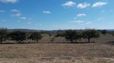 Foto 2 de Casa o chalet en venta en Poligono 15, Ciudad Rodrigo, Salamanca