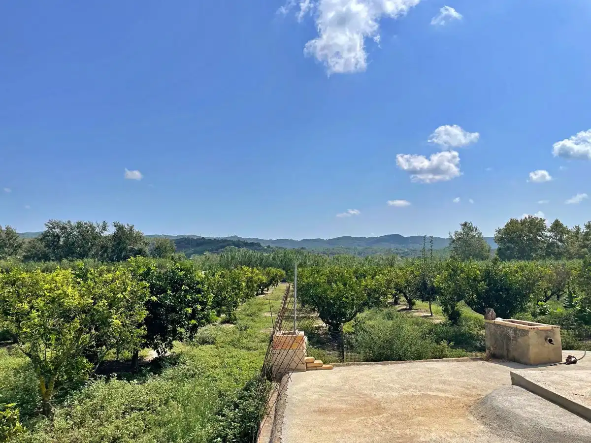 Villa à vendre à Jesús - Els Reguers, imagen 118