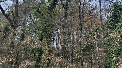 Foto 2 de Terreny en venda a Barrio de Aprikano, Kuartango, Araba - Álava