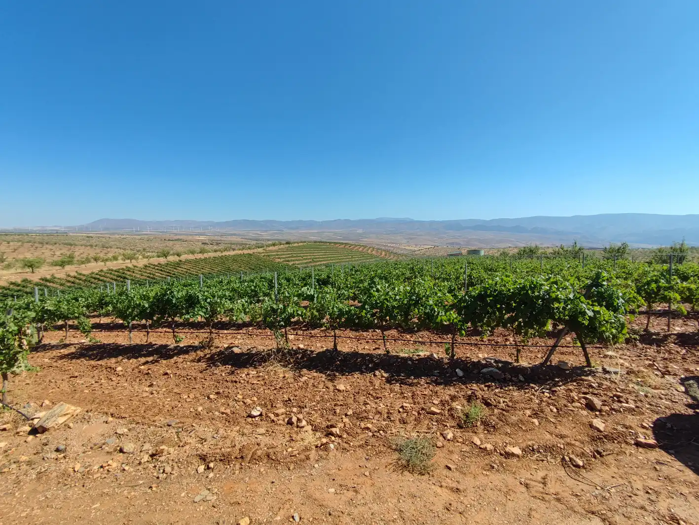Exterior view of Land for sale in Huéneja
