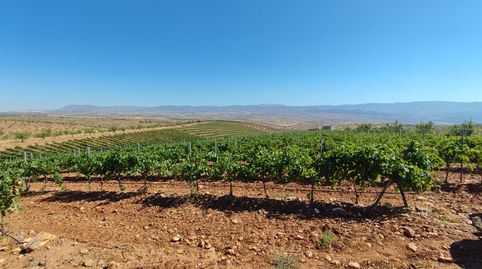 Foto 2 de Terreny en venda a Camino de la Loma a Fiñana, Huéneja, Granada