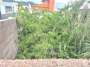 Foto 4 de Residencial en venda a Calle Capricornio, Gracia, Santa Cruz de Tenerife