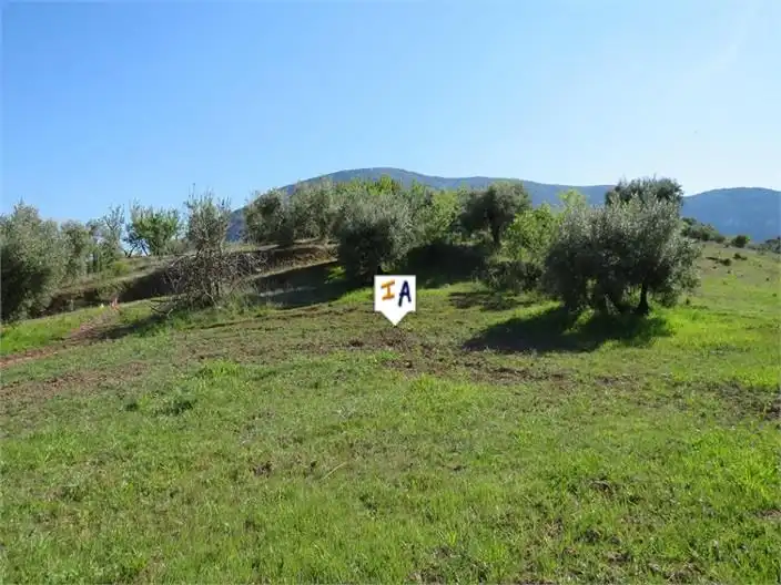 Terreni e lotti in vendita a Martos