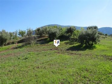Grundstücke und Bauplätze zum Verkauf in Martos