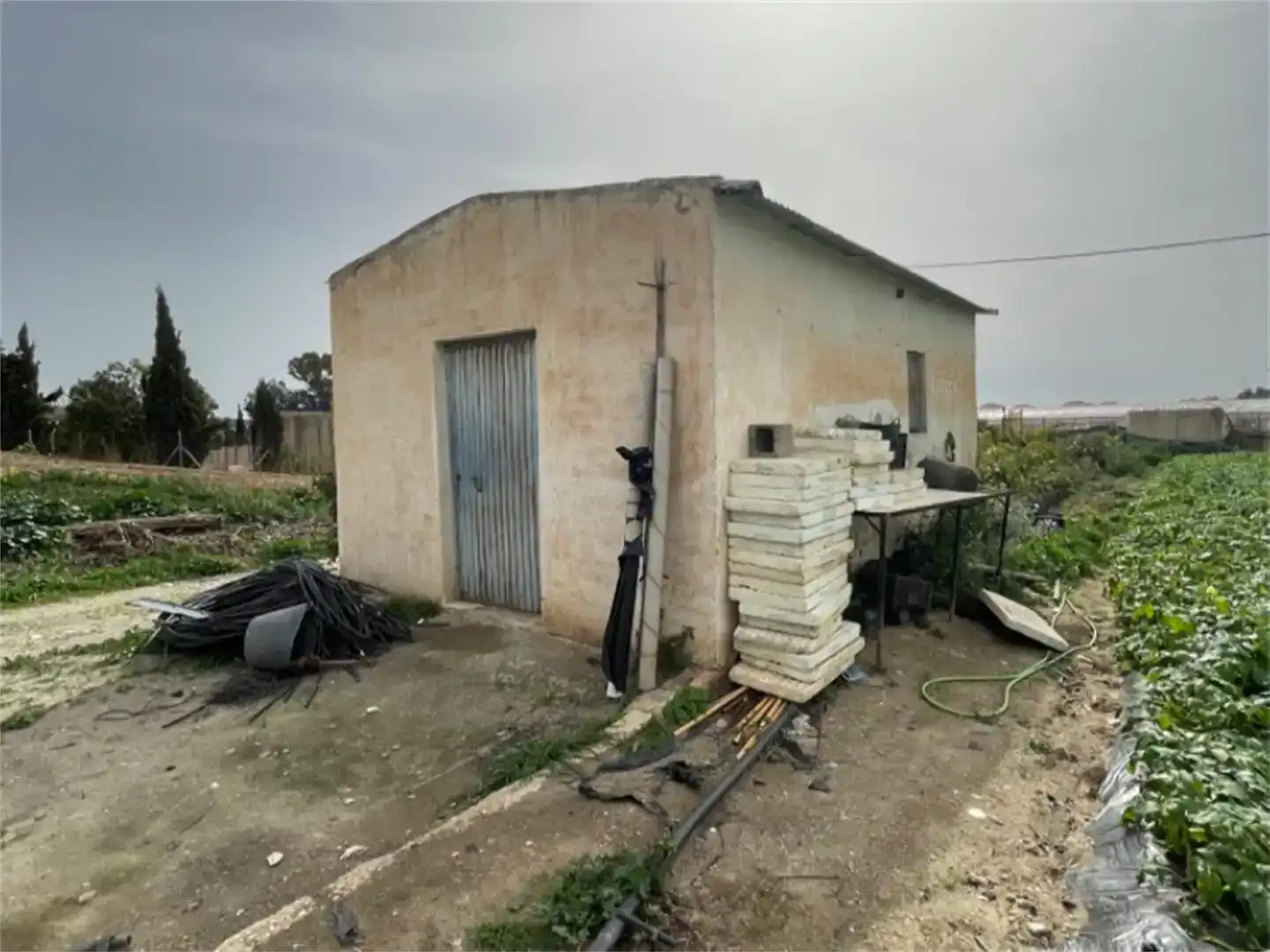 Finca rústica en venda en Algarrobo