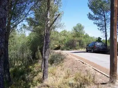 Terreno residencial en venta en Camí de Pinedes Altes 14, imagen 4