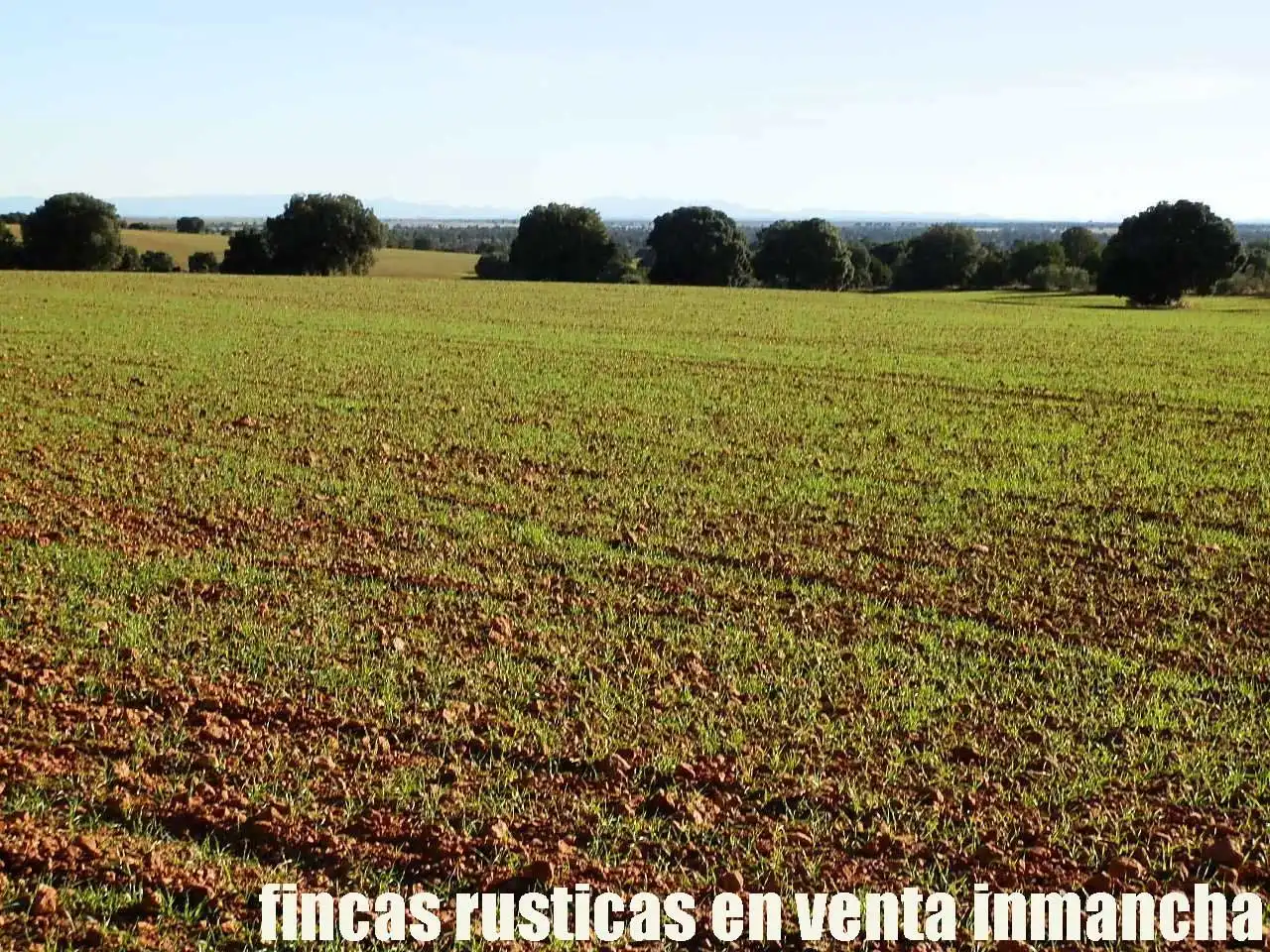 Lands and plots for sale in Ossa de Montiel