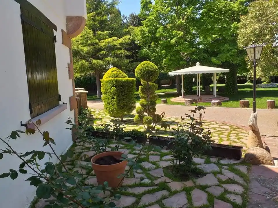 Garden of Land for sale in Tudela