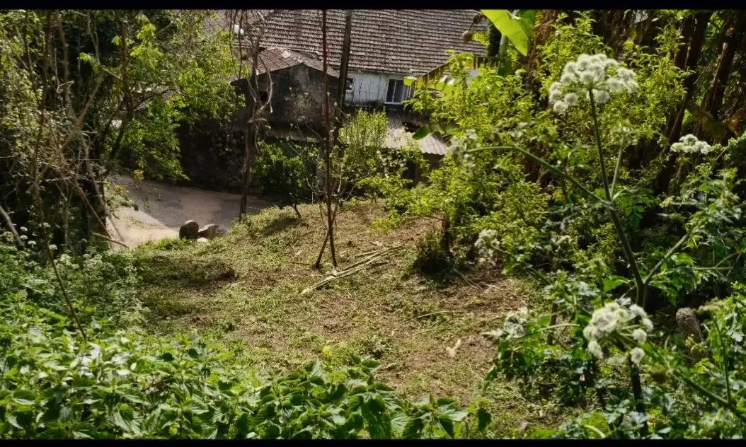 Terreno rústico en venta en Camino RAIÑA-BEMBRIVE, imagen 3