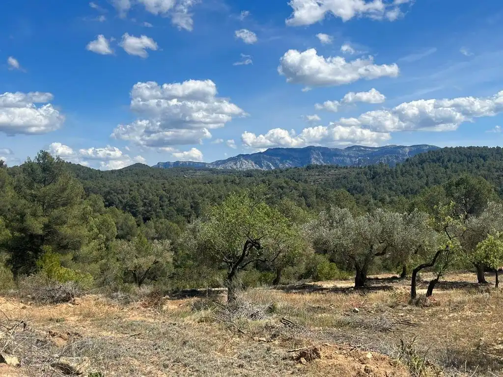 Terreno en venta en Horta de Sant Joan