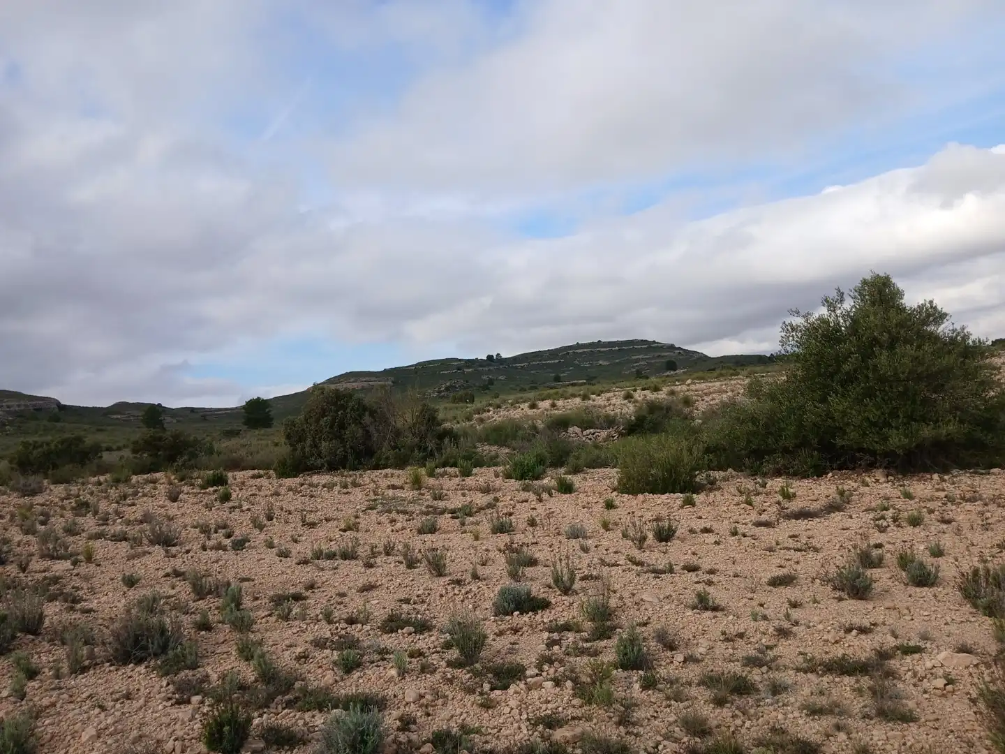 Residential land for sale in Yecla, imagen 7
