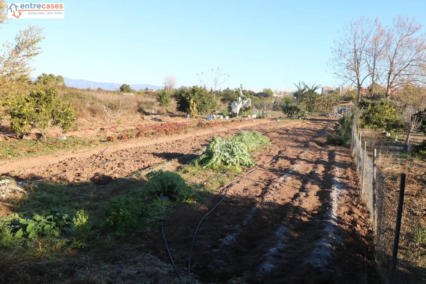 Rural land for sale in Canet d'En Berenguer, imagen 6