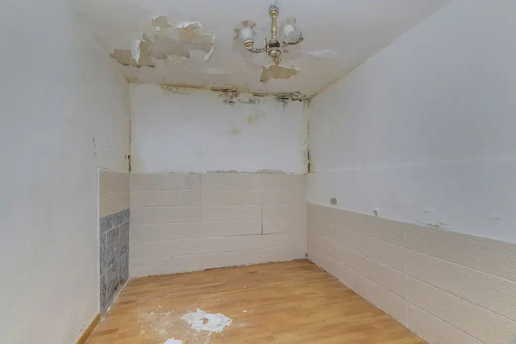 Imagen 3 del anuncio