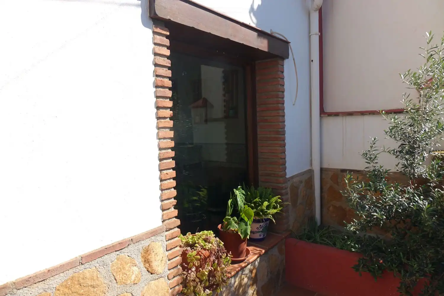 Jardí de Local en venda en Órgiva
