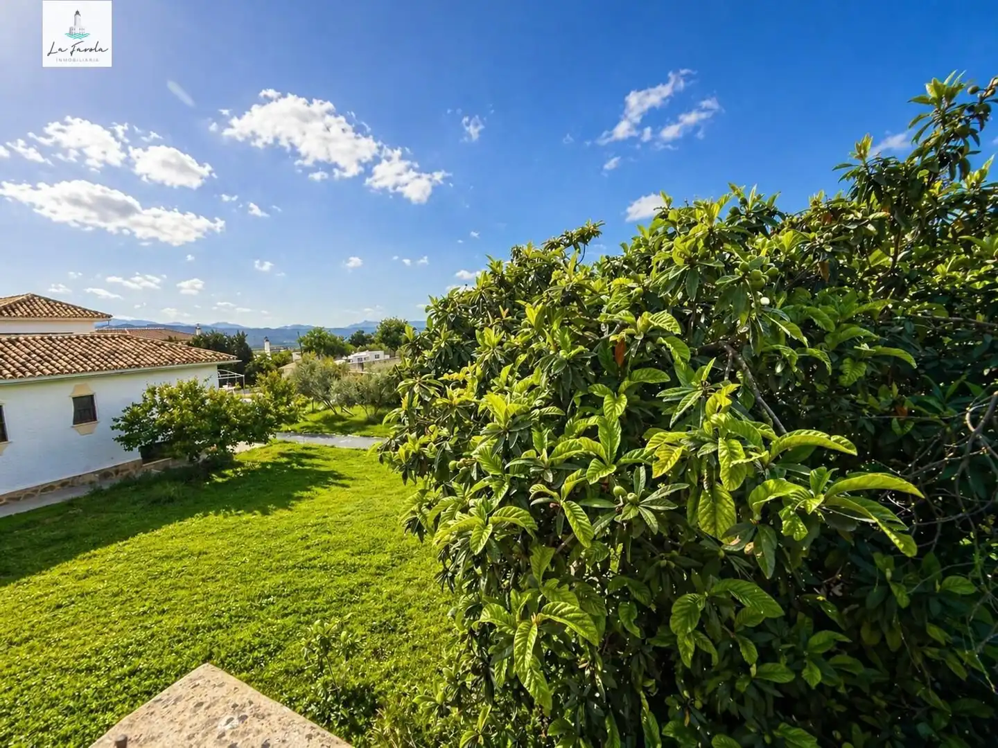 Garden of Houses for sale in Archidona  with Private garden, Terrace and Balcony