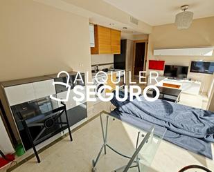 Living room of Flat to rent in San Vicente del Raspeig / Sant Vicent del Raspeig  with Heating, Terrace and Furnished