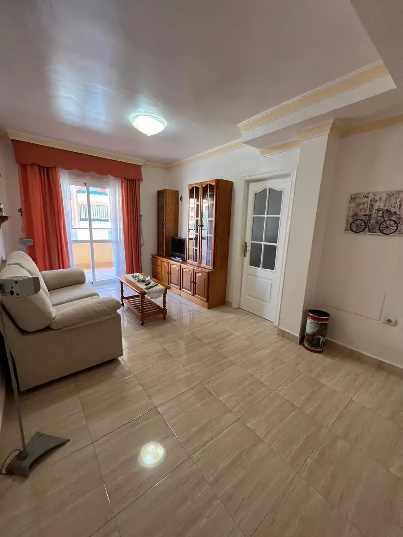 Sala d'estar de Pis en venda en Manilva amb Terrassa
