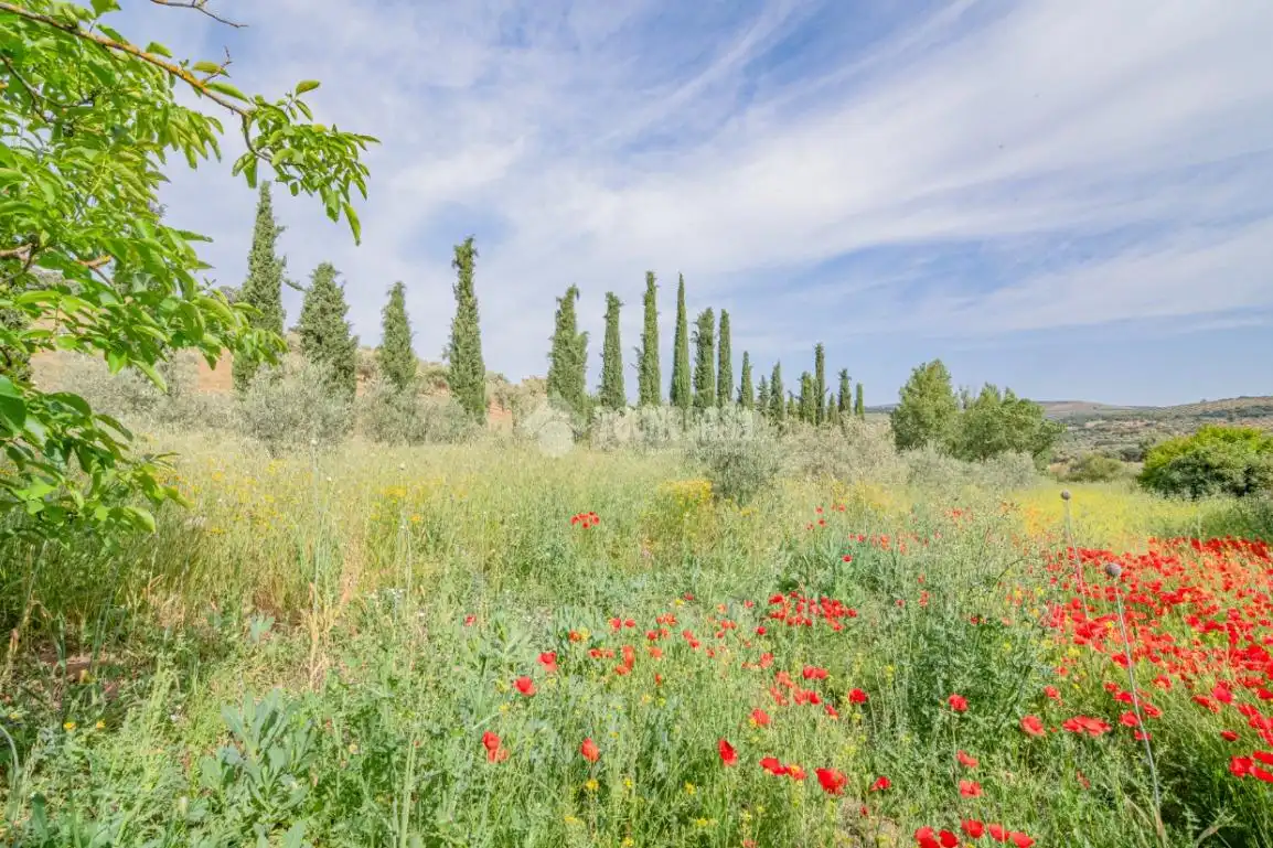 Finca rústica en venda en Loja amb Aire condicionat, Jardí privat i Terrassa
