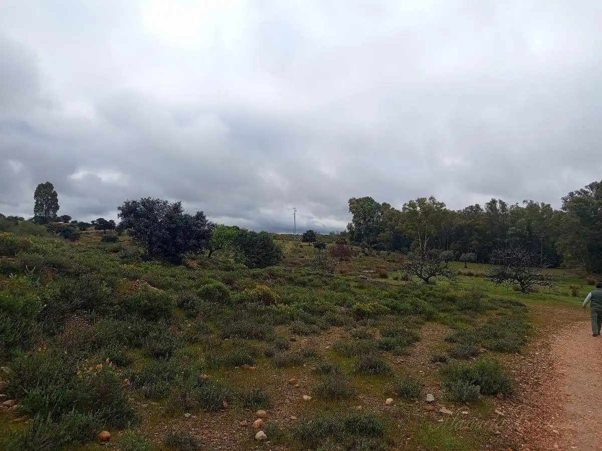 Finca rústica en venda a Oeste