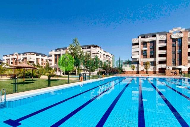 Piso en Alquiler en Zona Monte El Pilar