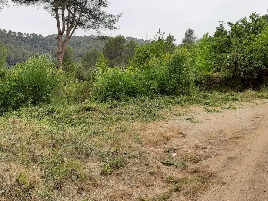 Terreny residencial en venda a Calle Siberia 13, imagen 5