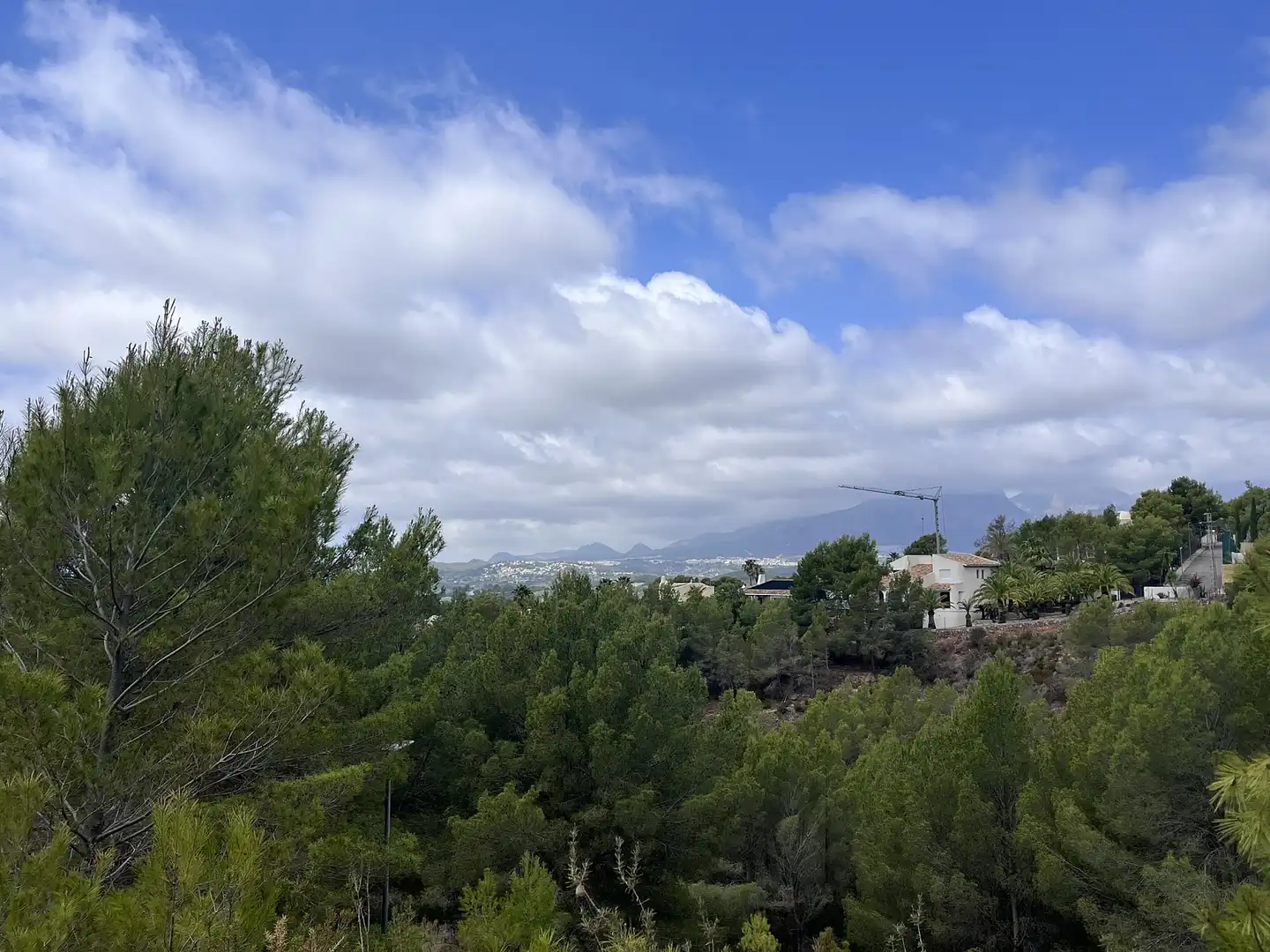 Terreny residencial en venda a Callosa d'en Sarrià, imagen 5