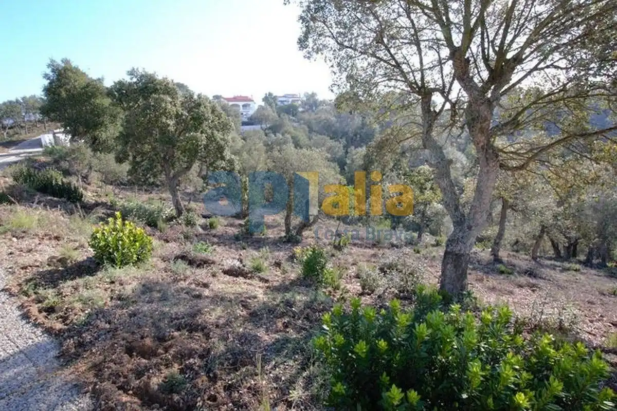 Residential land for sale in Carrer Avet, imagen 5