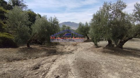 Immagine 2 dell'annuncio