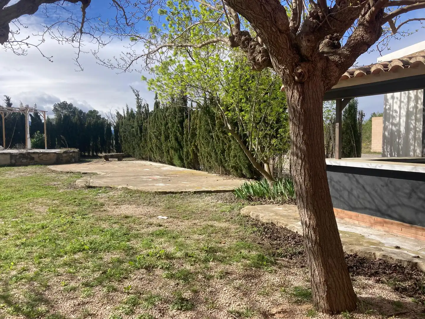 Garden of Commercial properties for sale in Gandesa