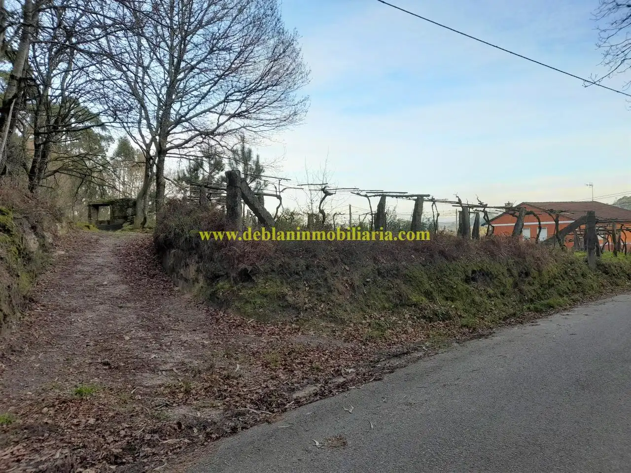 Terreno residencial en venta en Cotarel - Ribadelouro, imagen 3