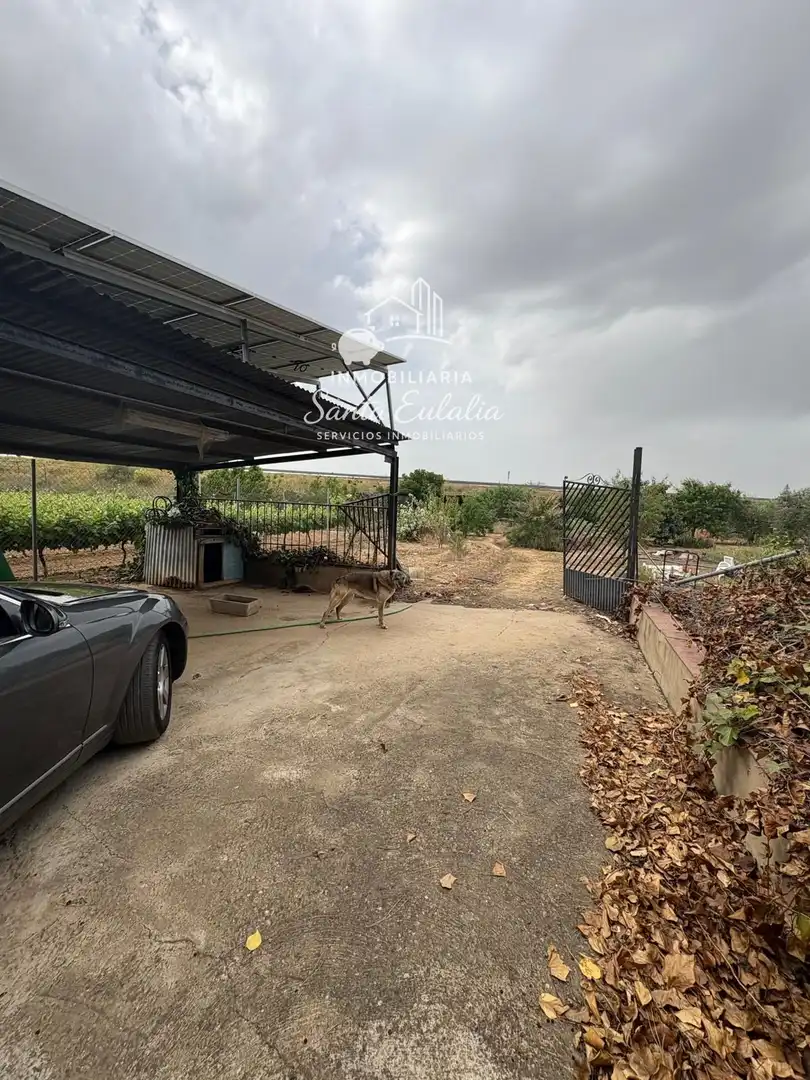 House with pool for sale in Arroyo de San Serván, imagen 7