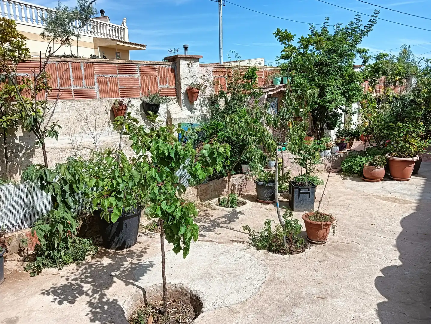 Garten von Haus oder Chalet zum Verkauf in La Bisbal del Penedès mit Heizung, Privatgarten und Terrasse