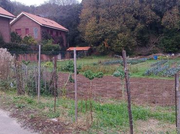 Terrenos y solares en venta en Barrio la Maza 14