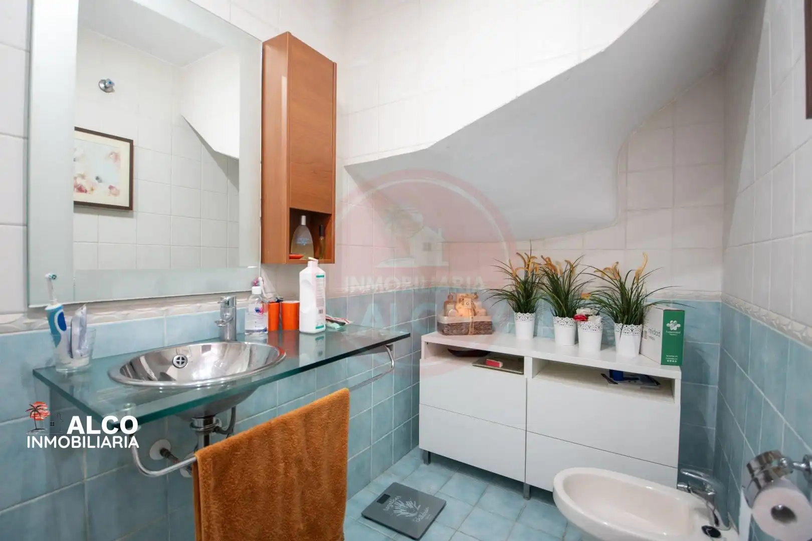 Casa bifamiliare con piscina in vendita a RECTOR JUAN DE DIOS LOPEZ 52, imagen 58