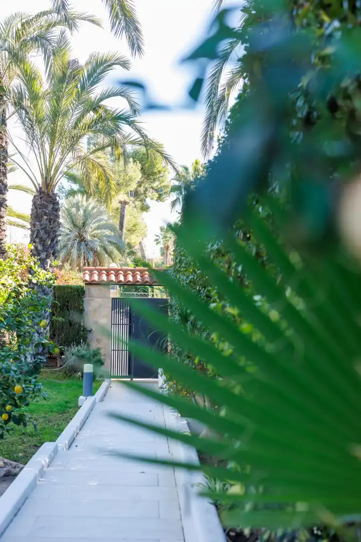 Jardín de Casa o chalet en venta en Picassent con Aire acondicionado, Calefacción y Jardín privado