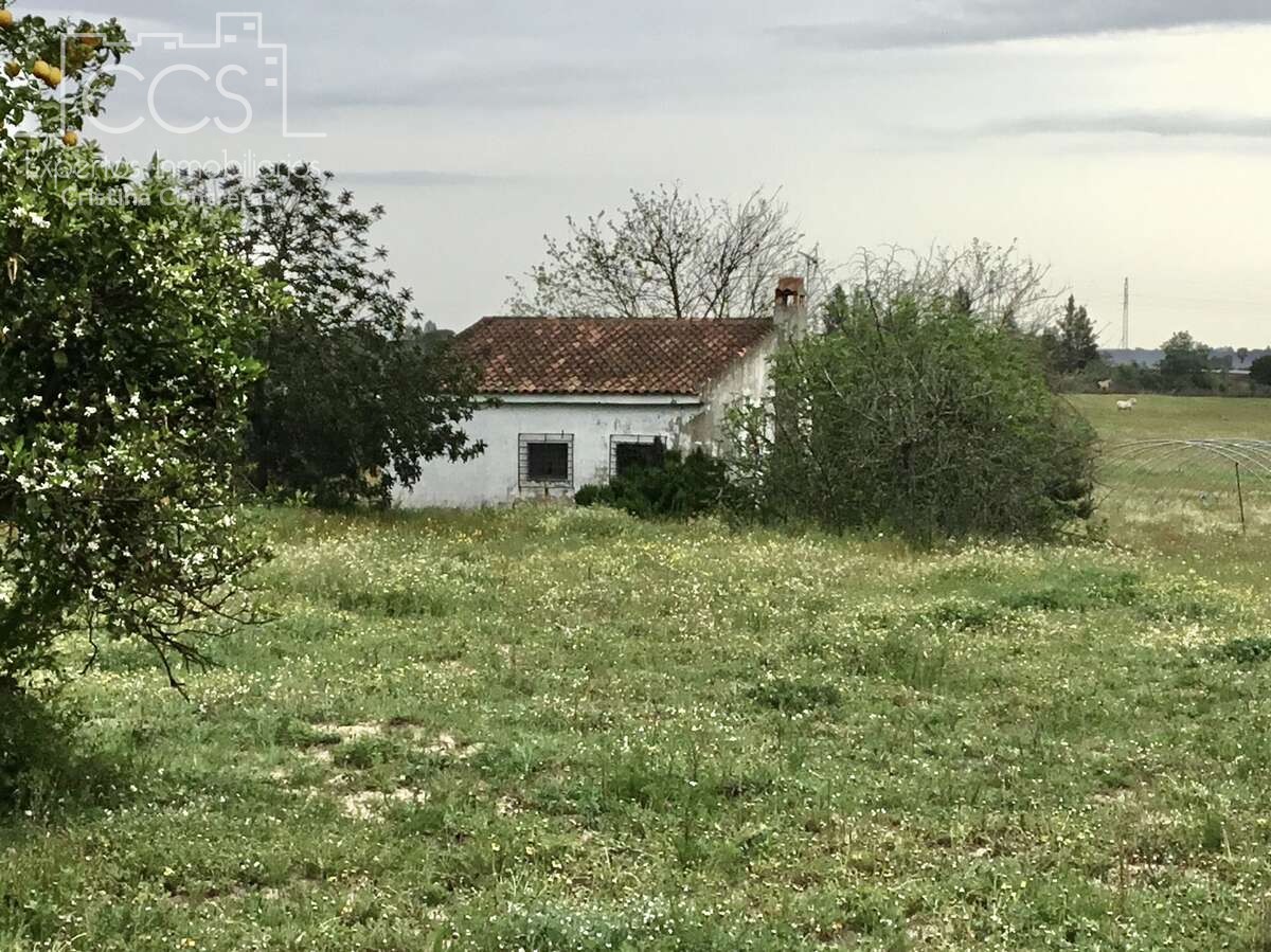 Country house for sale in Almonte