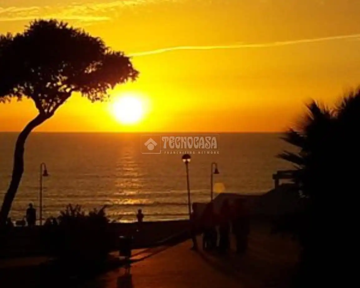 Vista exterior de Casa adosada en venta en Conil de la Frontera con Terraza