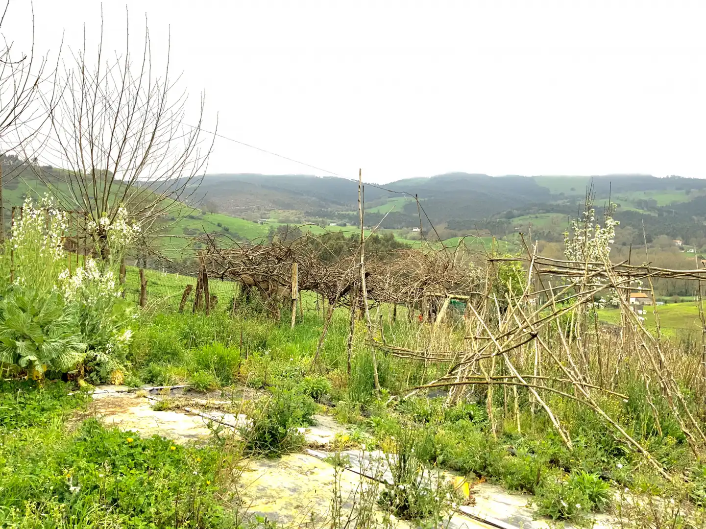 Terreni e lotti in vendita a Hazas de Cesto - Barrio Liegra 2, imagen 4