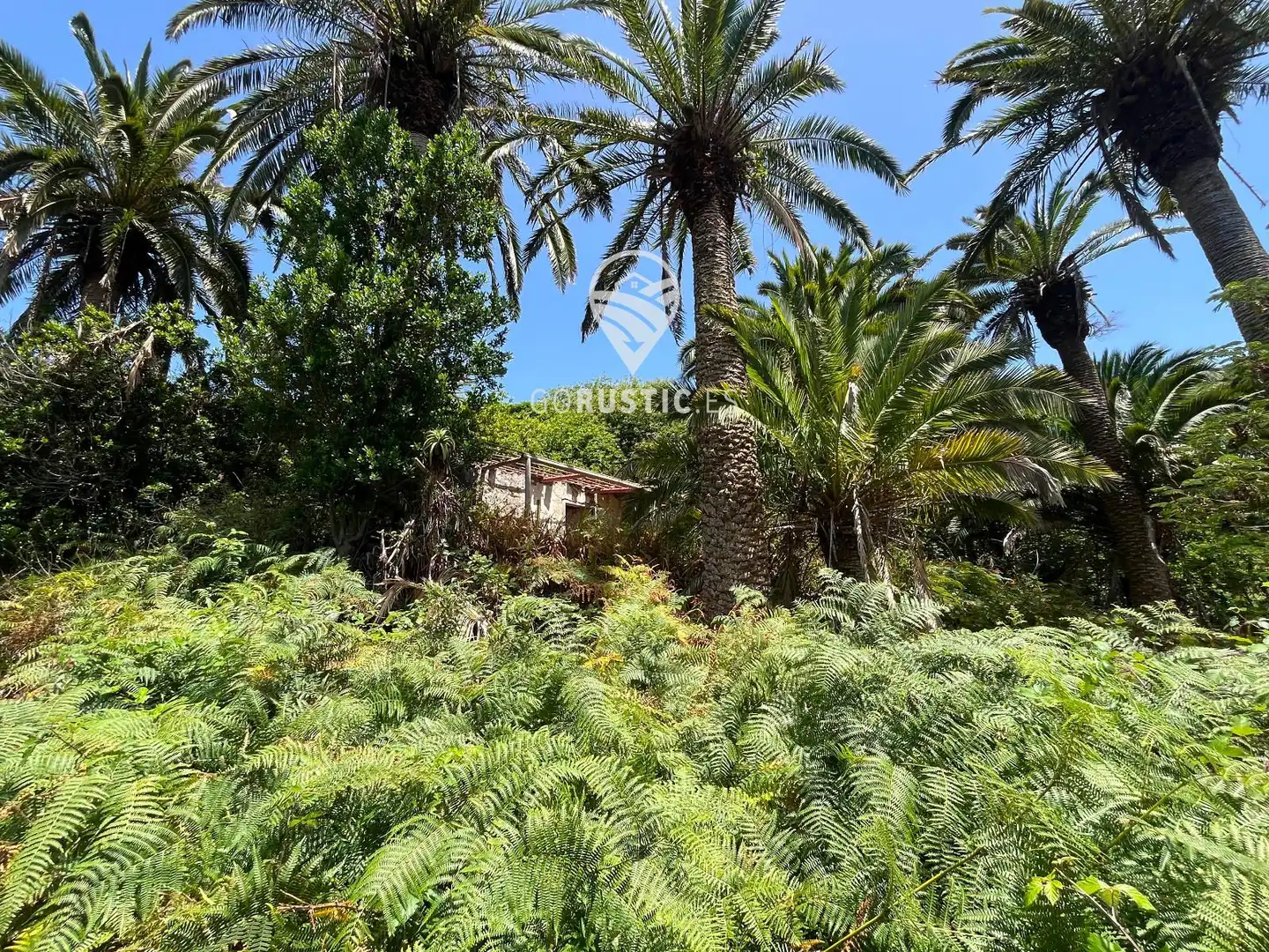Terreno rústico en venta en Cruz de Tierno, Pol 2; Parc. 344 y 10344, imagen 22
