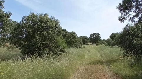 Foto 2 de Terreno en venta en Brazatortas, Ciudad Real