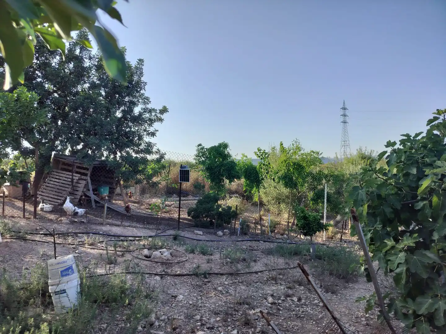 Xalet amb piscina en venda a Casinos, imagen 49