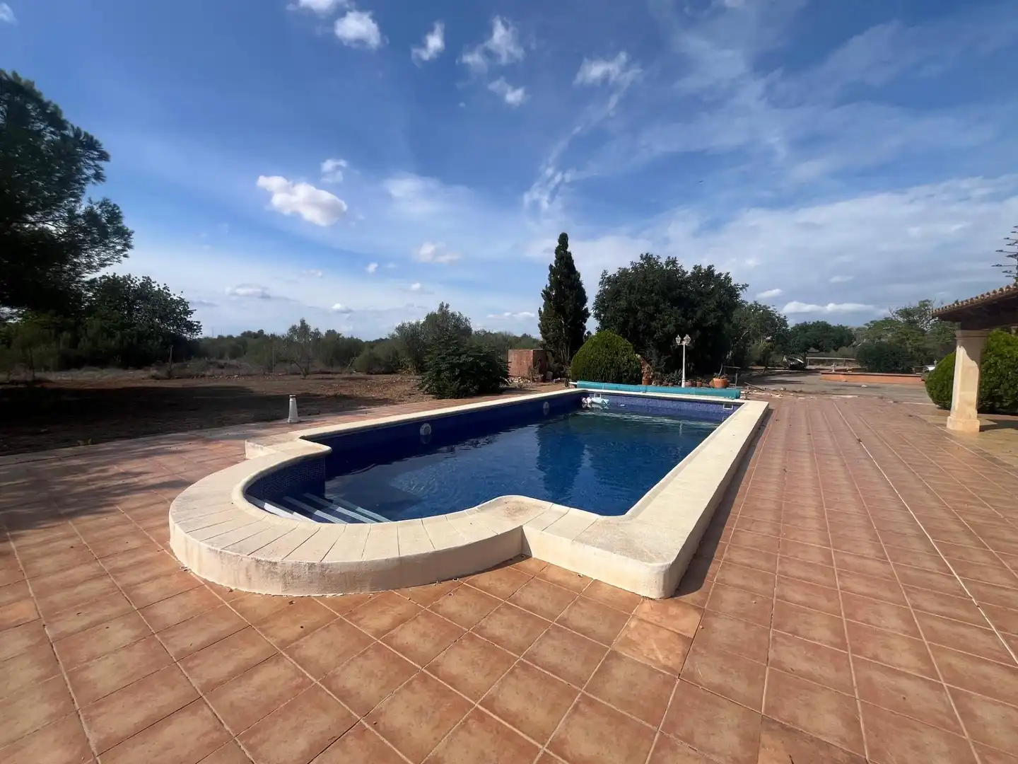 Country house with pool for sale in Llucmajor pueblo, imagen 4
