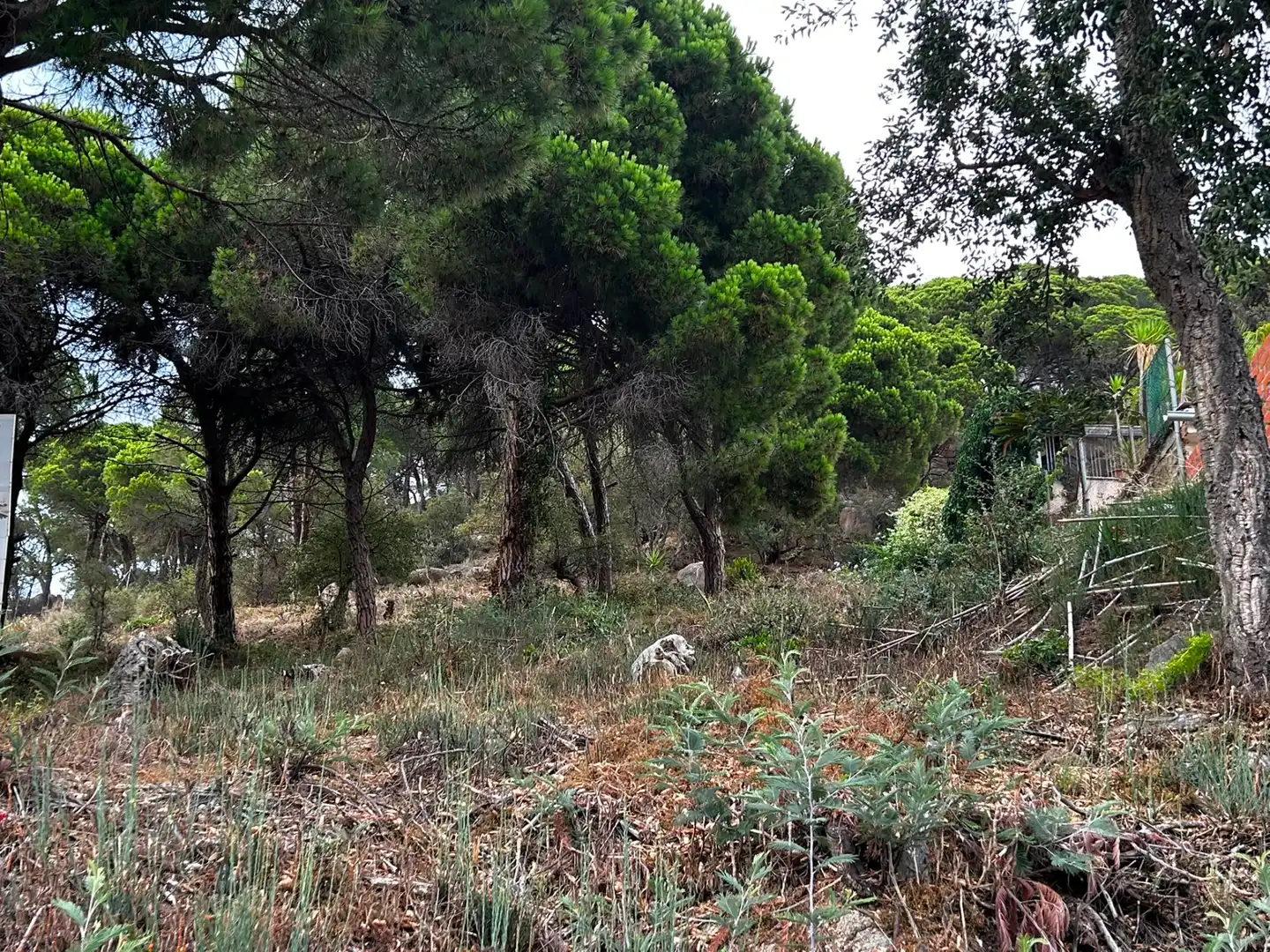 Terreno residencial en venta en Roca Grossa, imagen 8