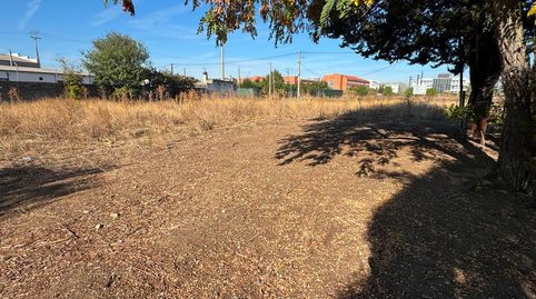 Photo 4 of Land for sale in Palomares, Pilaríca - Los Santos, Valladolid Capital