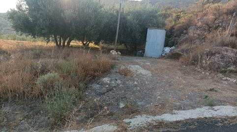 Photo 5 of Land for sale in Calle la Fuente, 2, Alicún, Almería