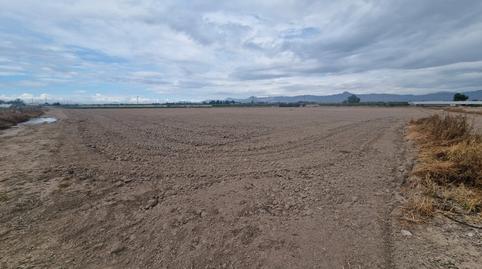 Photo 3 of Industrial land for sale in Lugar Diseminado Cox, 79, Cox, Alicante