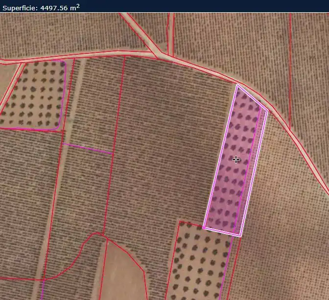 Rural land for sale in Valdepeñas, imagen 13