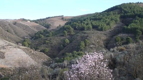 Foto 3 de Residencial en venta en Carrasquilla, Lorca