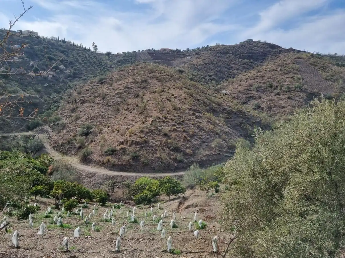 Casa rustica in vendita a Los Gómez., imagen 41